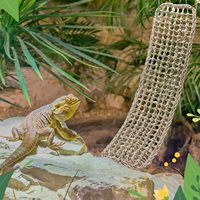 Échantillon gratuit hamac de dragon barbu rectangulaire jonc de mer pour lézards caméléon Gecko serpents Lguana Reptiles tortues