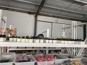 Vaso per Tulipani Personalizzato, Fioriera con Nome Personalizzato, Mini Vaso in Vetro Fatto a Mano, Regalo per la Festa della Mamma, Decorazione per la Casa, Ornamento da Tavolo - Product Image 5