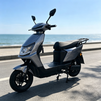 Scooter électrique étanche CKD SKD 10 pouces, 600/800W, vitesse 50 km/h, 2 passagers, fabricant de motos électriques