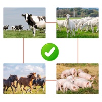 Zonne-aangedreven elektrische omheining energizer voor vee op de boerderij - milieuvriendelijk met 12V zonnepaneel