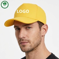 Casquette de Baseball Personnalisée avec Logo Imprimé, Réglable, en Polyester Structuré, Vierge et Unie, pour Sports, avec Visière Sandwich
