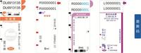 Autocollant d'étiquette de tube à essai de papier médical revêtement UV autocollant adhésif imperméable pour les étiquettes de réactif d'échantillonnage de virus de prélèvement sanguin