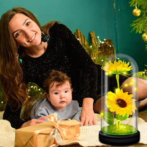 Nhà máy cung cấp trực tiếp Glass Dome Bảo quản khô hướng dương trong trang trí vĩnh cửu Nhân Tạo Hoa Hướng Dương thân thiện với môi - Product Image 5