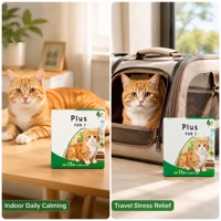 Gouttes d'extraits végétaux naturels OEM pour chats – Formule nutritionnelle quotidienne sans céréales – Complément liquide de qualité alimentaire pour animaux de compagnie