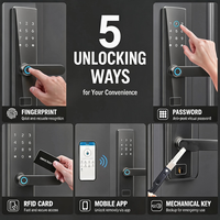 Serrure Intelligente Haute Sécurité Ttlock pour Portes en Bois, Acier et Aluminium avec Application Cloud et Déverrouillage par Carte