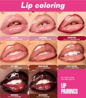 Crayon Marqueur Liquide Vegan OEM pour Lèvres, Imperméable, Ultra-Pigmenté, Longue Tenue, Teinte Rose Rouge Brun Cendré Bois de Rose