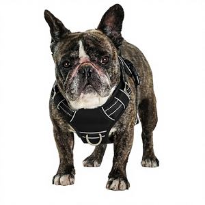 Arnés para Pájaros con Tiras Reflectantes Ecológicas, Ajustable, Acolchado Suave, 3 Hebillas, 2 Clips para Correa, Nylon y Poliéster, No apto para mascotas - Product Image 1