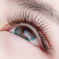 Cils en Y 2D à pointe unique, faits à la main, doux, naturels, en forme de trèfle, fournitures d'extensions de cils