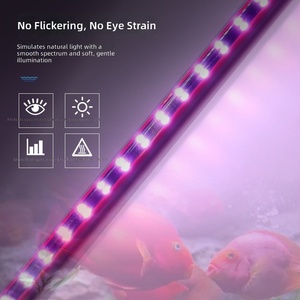 Iluminación LED para Acuarios que Mejora el Color, Tubo de Luz Impermeable para Peceras de Arowana y Pez <span class=keywords><strong>Loro</strong></span>, <span class=keywords><strong>Peces</strong></span> Ornamentales, Múltiples Opciones de Alimentación - Product Image 3