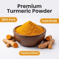Poudre de Curcuma Premium en Gros pour Boissons, Smoothies, Thés, Préparations Lactées Dorées et Colorants Alimentaires Végétaliens