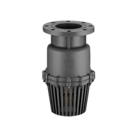 Vanne de fond de tuyau en PVC-FT SCH 80 CPVC DN50 pour température normale, à union simple NPT BSPT, pour système de tuyauterie automatique/manuel