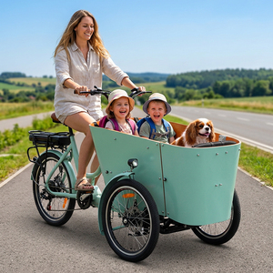 Vélo à 3 roues le plus vendu aux normes européennes avec boîte de transport, tricycle cargo à pédales, remorque de transport, vélo cargo électrique, vélo électrique - Product Image 1