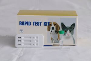Kits de <span class=keywords><strong>test</strong></span> vétérinaire rapide combinés <span class=keywords><strong>Ehrlichia</strong></span>/Babesia/Anaplasma - Product Image 2