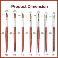Hechunzi Round Nail Art Pen Brushes 7 Pièces Set 100% Kolinsky Hair Manche en bois Taille 8 10 12 14 16 18 20 Kolinsky Brush