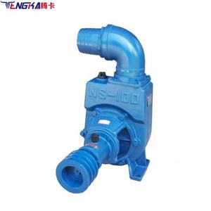 NS Series Self-priming Centrifugal Pumps Are Used for Agricultural Irrigation - Product Image 2