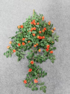 Vigne de roses artificielle And De Roses Arizona Wild Seven Pergolas Thornless Desert Eden Creeping That Training Decoration - Product Image 3