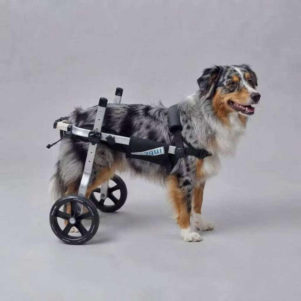 BenPaoBaWangWangDui Pet Behavior Training Mobility Cart Adjustable ...