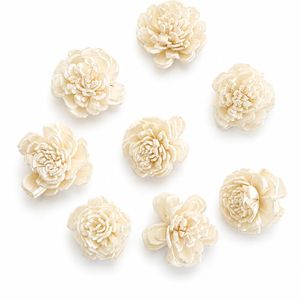 Flores de Sola Naturales Hechas a Mano de Primera Calidad AQUA VRIKSHA (Tamaño Pequeño) para Decoración del Hogar, Bodas y Manualidades - Product Image 5