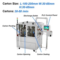 Machine de remplissage de boîtes en carton verticale semi-automatique sur mesure, équipement d'emballage automatique, machines d'emballage