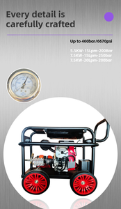 14-16 Lpm 0 - 460 bar Série DF1446 Pompe <span class=keywords><strong>haute</strong></span> <span class=keywords><strong>pression</strong></span>-Pompe de nettoyage à jet d'égout-Pompe de nettoyage à <span class=keywords><strong>piston</strong></span> en céramique à trois cylindres - Product Image 6