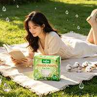 Culottes menstruelles jetables pour femmes, respirantes, super absorbantes, pour la nuit, sous-vêtements sanitaires, OEM personnalisés