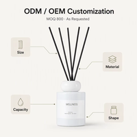 Diffuseur de parfum à roseaux LOLOTA, aromathérapie sans feu, fabrication sur mesure ODM OEM, céramique, entièrement naturel, végétalien, huiles essentielles, cadeau aromatique