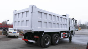 รถบรรทุก Shacman Delong F3000 6X4 ยูโร 3 ขนาด 25-35 ตัน รถดัมพ์สำหรับงานเหมือง 10 ล้อ ขาย - Product Image 3