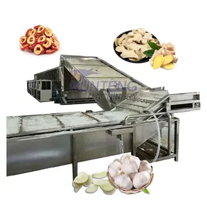 New cleaning slicing and drying machine processing line of fresh vegetable and fruit papaya palm date curcuma almond apricots