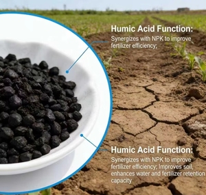Humate de potassium et acide humique en gros pour l'agriculture – Humate de potassium minéral dérivé, granulés irréguliers - Product Image 4