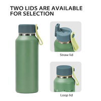 Botella de Agua Aislada al Vacío de Acero Inoxidable con Tapa Antipolvo Personalizada, Asa y Pajita, a Prueba de Fugas, Libre de BPA, Multicolor