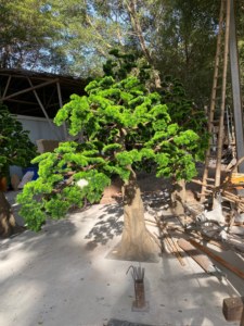 Sapin <span class=keywords><strong>artificiel</strong></span> réaliste et écologique de haute qualité de 2 m, fabriqué en Chine, avec une durée de vie de 10 ans, pour la décoration intérieure/extérieure des jardins - Product Image 3