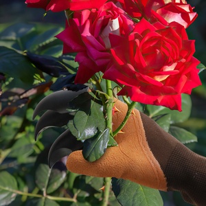 Guantes de jardinería para excavación y plantación, con puntas de los dedos resistentes, 4 garras de plástico ABS, antideslizantes, a prueba de espinas - Product Image 5