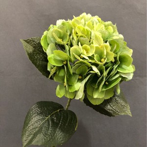 Flores de Hortensia Artificiales al por Mayor Y-H093, Flores Falsas para Boda con Tacto Real, Flores de Hortensia con Tacto Real - Product Image 6