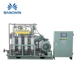 Factory Direct Sales China Oil Free Air Compressor Price Rix 2V3b High Pressure Oxygen Compressor