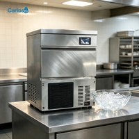 Machine à glaçons en cubes Carlos nouvelle génération, compacte et stable, idéale pour les magasins de bubble tea