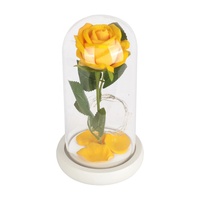 Cadeau de Saint Valentin Morthers Day Gift Galaxy Rose dans un dôme en verre avec lumières led Vente en gros Préservé Rose dans un dôme en verre