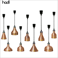 Lampes chauffantes HD Economy en acier inoxydable suspendues pour buffet de restauration Lampes chauffantes pour hôtel et restaurant dans la cuisine