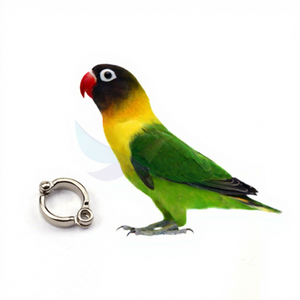 Anneau de pied de pied, 2023mm, 3.5mm, 4.5mm, 5.5mm, 6.5mm, 7.5mm, 8.5mm, 9.5mm, 11.5mm, en alliage, bon marché, 14.5 - Product Image 1