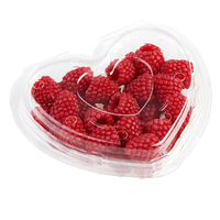 Transparante wegwerp 250 gram PET plastic fruitbakje kersen bosbessen blister clamshell verpakking met gaten
