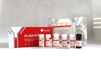 Kit ELISA de protéine C-réactive de rat de haute qualité Solarbio SEKR-0017 pour la recherche scientifique