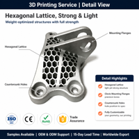 Services d'impression 3D sur mesure en acier inoxydable, fabrication additive SLM 316L, composants de géométrie complexe, pièces de montre