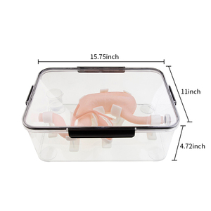 Modello di Addestramento ES001-S1 per Endoscopia del Tratto Gastrointestinale, Canale Biliare, Canale Pancreatico e Vescica Epatica, Taglia Adulto - Product Image 2