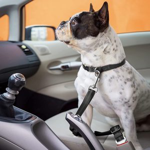 Cinturón de Seguridad Ajustable para Mascotas KingHon, Hebilla de Seguridad para Perros en el Auto, Cuerda de Seguridad Telescópica Elástica de Alta Resistencia para Mascotas - Product Image 3
