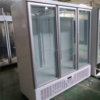 Congélateur vertical vitrine sans installation requise, refroidissement par air, congélateur vertical commercial, vitrine de présentation jusqu'à -22°C ° C
