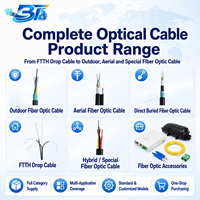 Kabel Serat Optik BoTong Custom Reliable GDTS G652D untuk Proyek Telekomunikasi Saluran Udara dan Penanaman Langsung dari Produsen