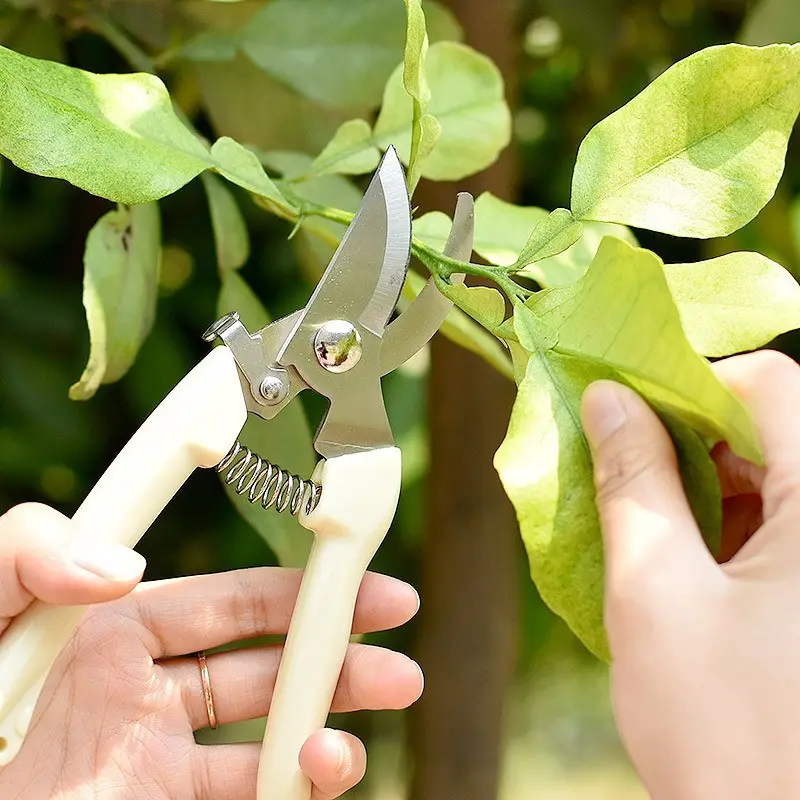 Vendita diretta della fabbrica giardino mano potatore attrezzi da giardino potatore in acciaio bypass albero potatura taglio