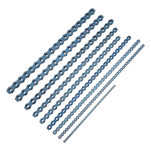 Alpen Titanium Vergrendelingsplaat Rechte Dierenartsen Orthopedische Platen Veterinaire Chirurgische Instrumenten Hond Huisdier Medische Accessoires - Product Image 1