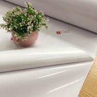 EJET-rollo de vinilo adhesivo de PVC para industria publicitaria