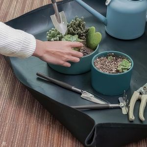 Juego de herramientas para plantas suculentas, 13 Uds., kit de herramientas de jardín para trasplantar a mano, accesorios para el cuidado de las plantas para bonsái, miniatura, interior, Gardeni - Product Image 5