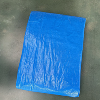 Fabricant chinois de bâches en PE, couverture protectrice résistante aux intempéries, bâche en PE